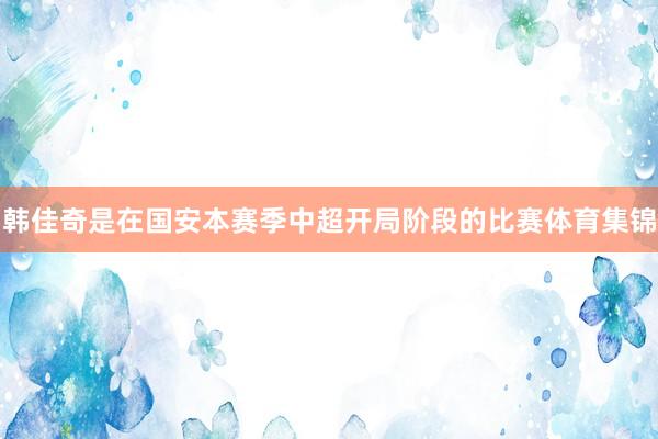 韩佳奇是在国安本赛季中超开局阶段的比赛体育集锦