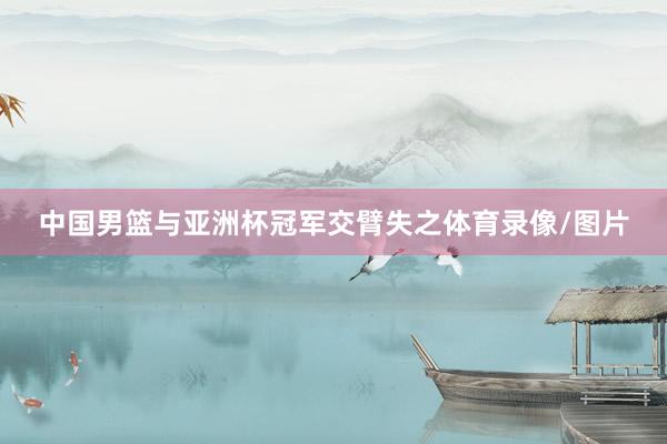 中国男篮与亚洲杯冠军交臂失之体育录像/图片