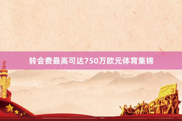 转会费最高可达750万欧元体育集锦
