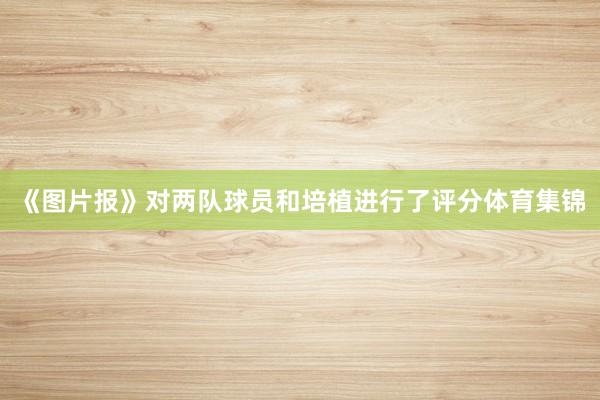 《图片报》对两队球员和培植进行了评分体育集锦