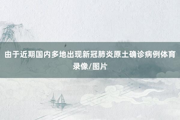 由于近期国内多地出现新冠肺炎原土确诊病例体育录像/图片