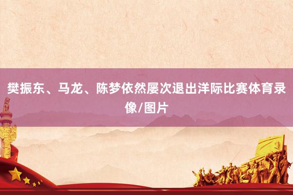 樊振东、马龙、陈梦依然屡次退出洋际比赛体育录像/图片
