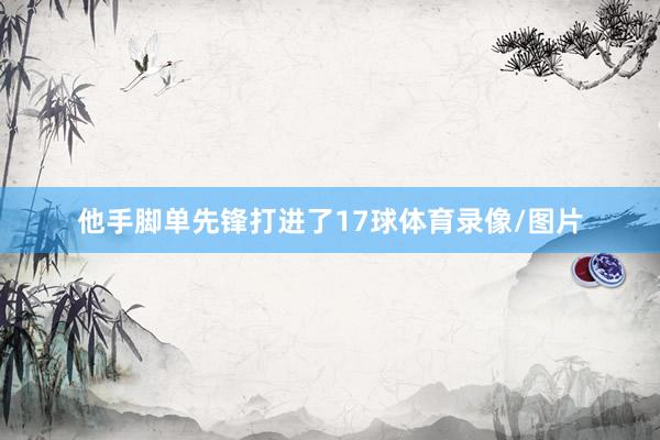 他手脚单先锋打进了17球体育录像/图片