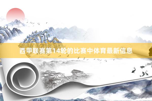西甲联赛第14轮的比赛中体育最新信息