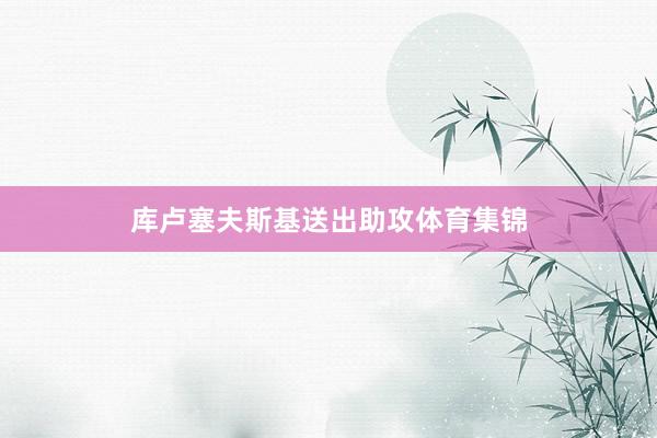 库卢塞夫斯基送出助攻体育集锦