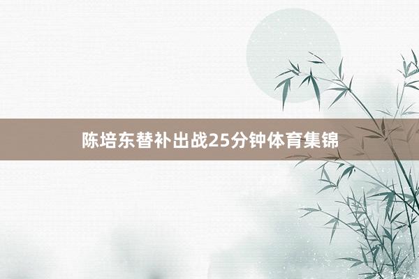 陈培东替补出战25分钟体育集锦
