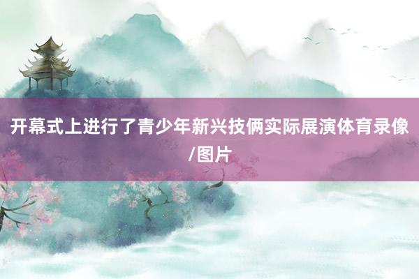开幕式上进行了青少年新兴技俩实际展演体育录像/图片