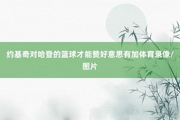 约基奇对哈登的篮球才能赞好意思有加体育录像/图片