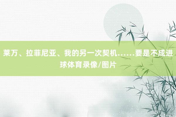 莱万、拉菲尼亚、我的另一次契机……要是不成进球体育录像/图片