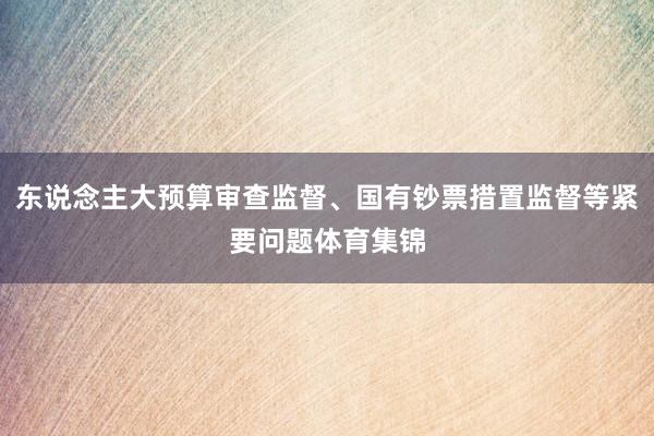 东说念主大预算审查监督、国有钞票措置监督等紧要问题体育集锦