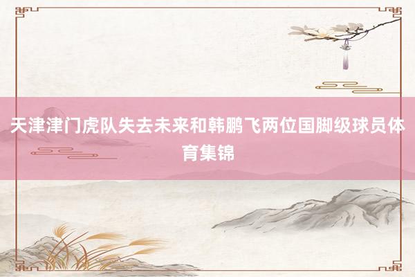 天津津门虎队失去未来和韩鹏飞两位国脚级球员体育集锦