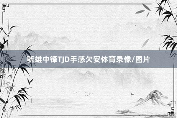 骁雄中锋TJD手感欠安体育录像/图片