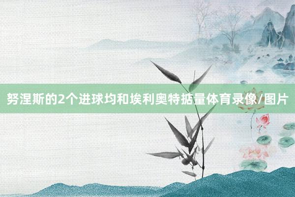 努涅斯的2个进球均和埃利奥特掂量体育录像/图片