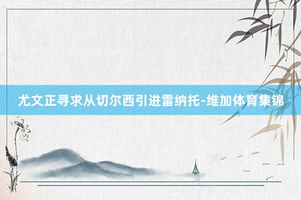 尤文正寻求从切尔西引进雷纳托-维加体育集锦