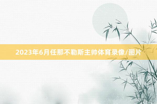 2023年6月任那不勒斯主帅体育录像/图片