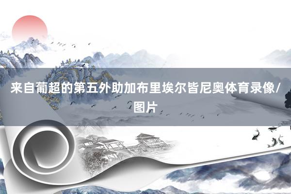 来自葡超的第五外助加布里埃尔皆尼奥体育录像/图片