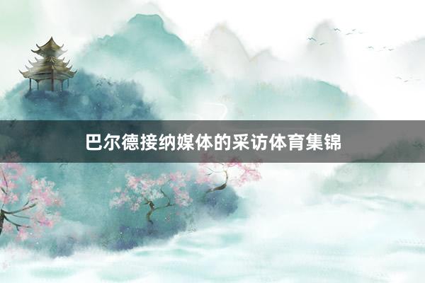 巴尔德接纳媒体的采访体育集锦