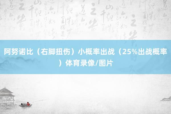 阿努诺比（右脚扭伤）小概率出战（25%出战概率）体育录像/图片