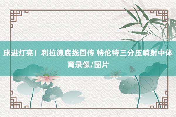 球进灯亮！利拉德底线回传 特伦特三分压哨射中体育录像/图片