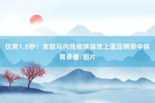 仅用1.8秒！库兹马内线接球强攻上篮压哨掷中体育录像/图片