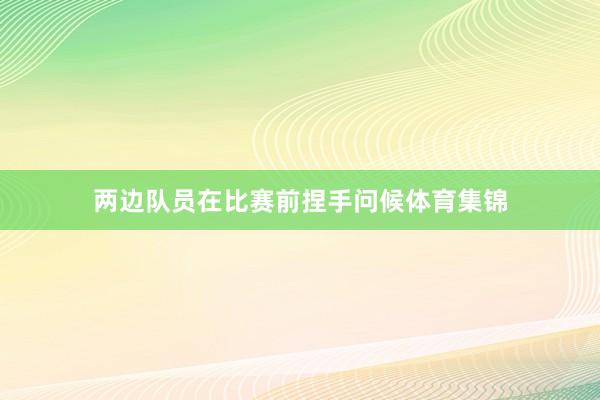 两边队员在比赛前捏手问候体育集锦
