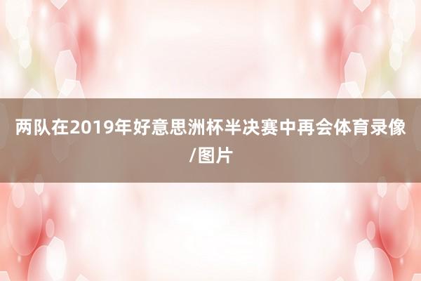 两队在2019年好意思洲杯半决赛中再会体育录像/图片