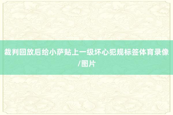 裁判回放后给小萨贴上一级坏心犯规标签体育录像/图片