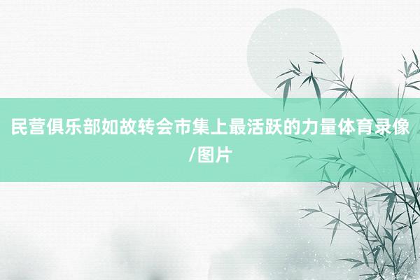 民营俱乐部如故转会市集上最活跃的力量体育录像/图片