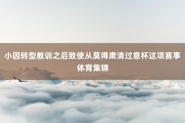 小因转型教训之后致使从莫得肃清过意杯这项赛事体育集锦