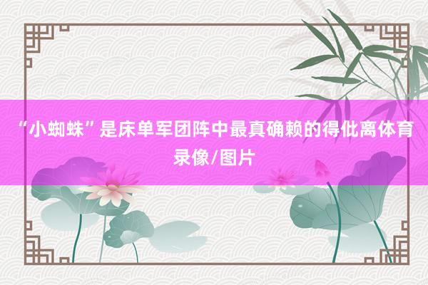 “小蜘蛛”是床单军团阵中最真确赖的得仳离体育录像/图片