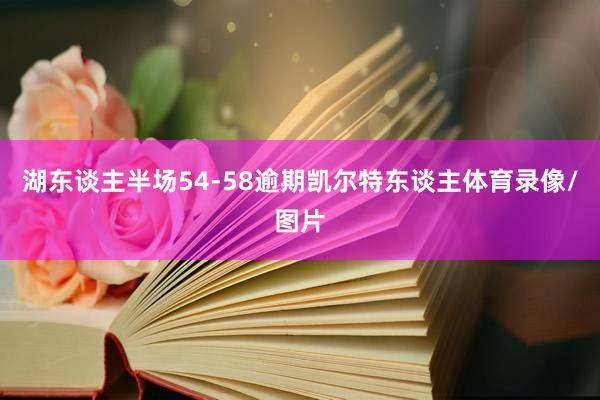 湖东谈主半场54-58逾期凯尔特东谈主体育录像/图片