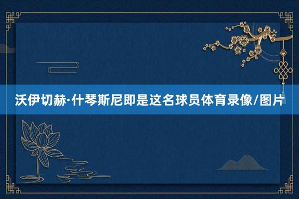 沃伊切赫·什琴斯尼即是这名球员体育录像/图片
