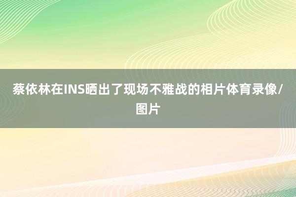 蔡依林在INS晒出了现场不雅战的相片体育录像/图片