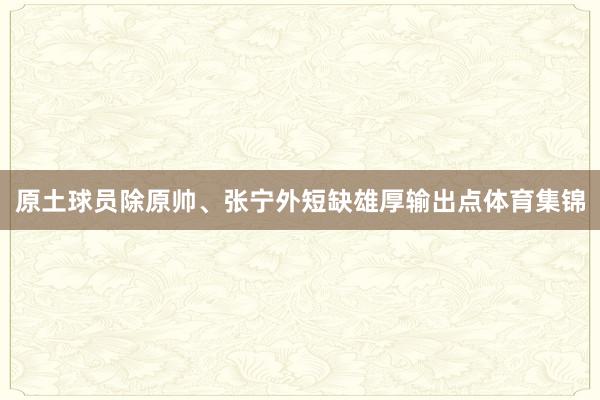 原土球员除原帅、张宁外短缺雄厚输出点体育集锦