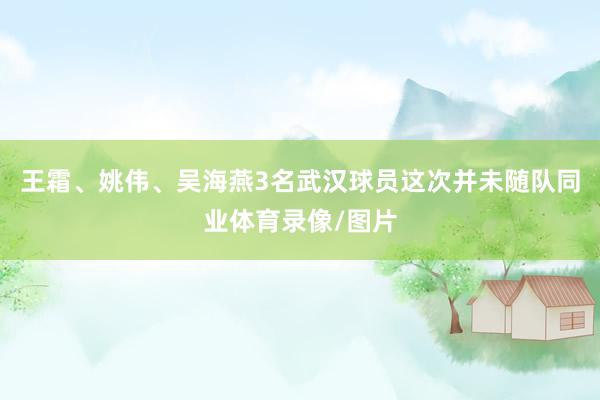 王霜、姚伟、吴海燕3名武汉球员这次并未随队同业体育录像/图片