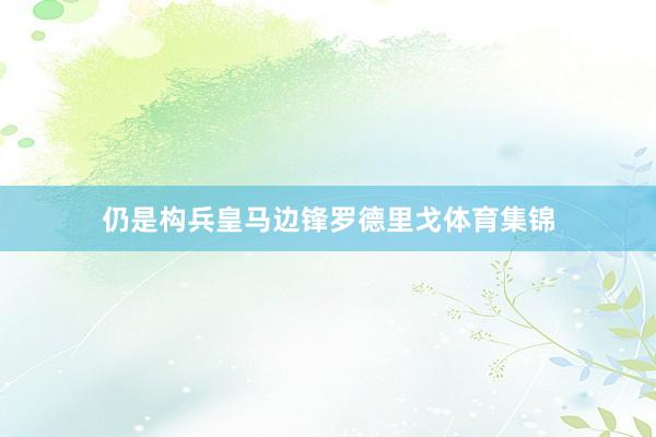 仍是构兵皇马边锋罗德里戈体育集锦